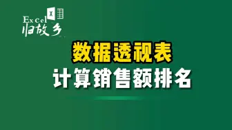 下载视频: 数据透视表，快速计算销售额排名