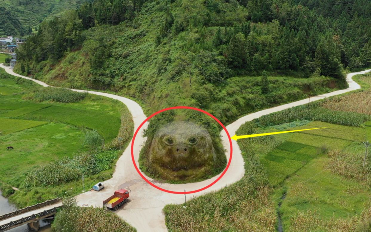 航拍:贵州深山发现一山体大龟,活灵活现鬼斧神工,你觉得像吗?