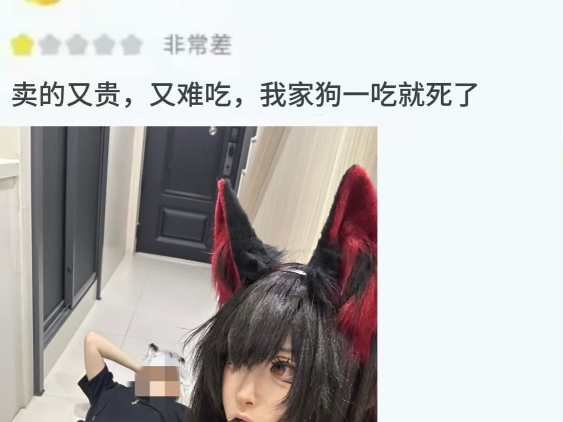 怎样找兼职遛狗师的工作呢找兼职须知