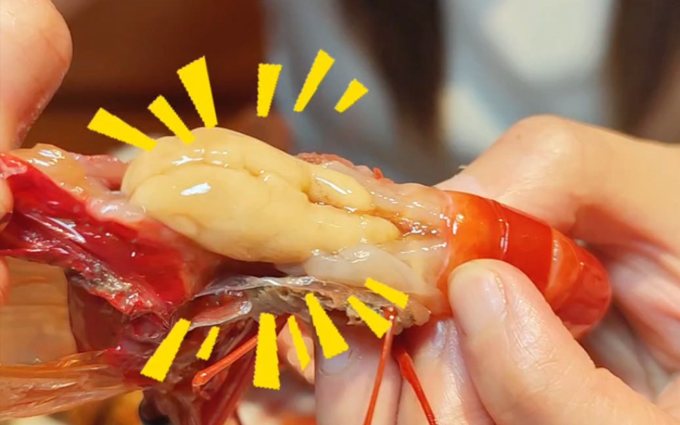 "凡虾吃肉 神虾吃脑" 在这里红魔虾居然让你敞开吃,你还不心动?