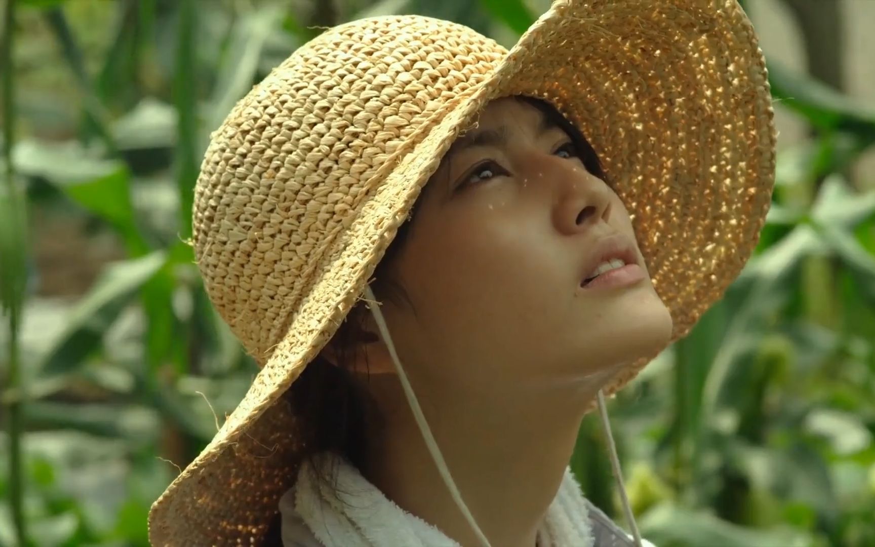 舌尖上的日本之《小森林夏秋篇》,非常治愈,有你喜欢的美食吗?