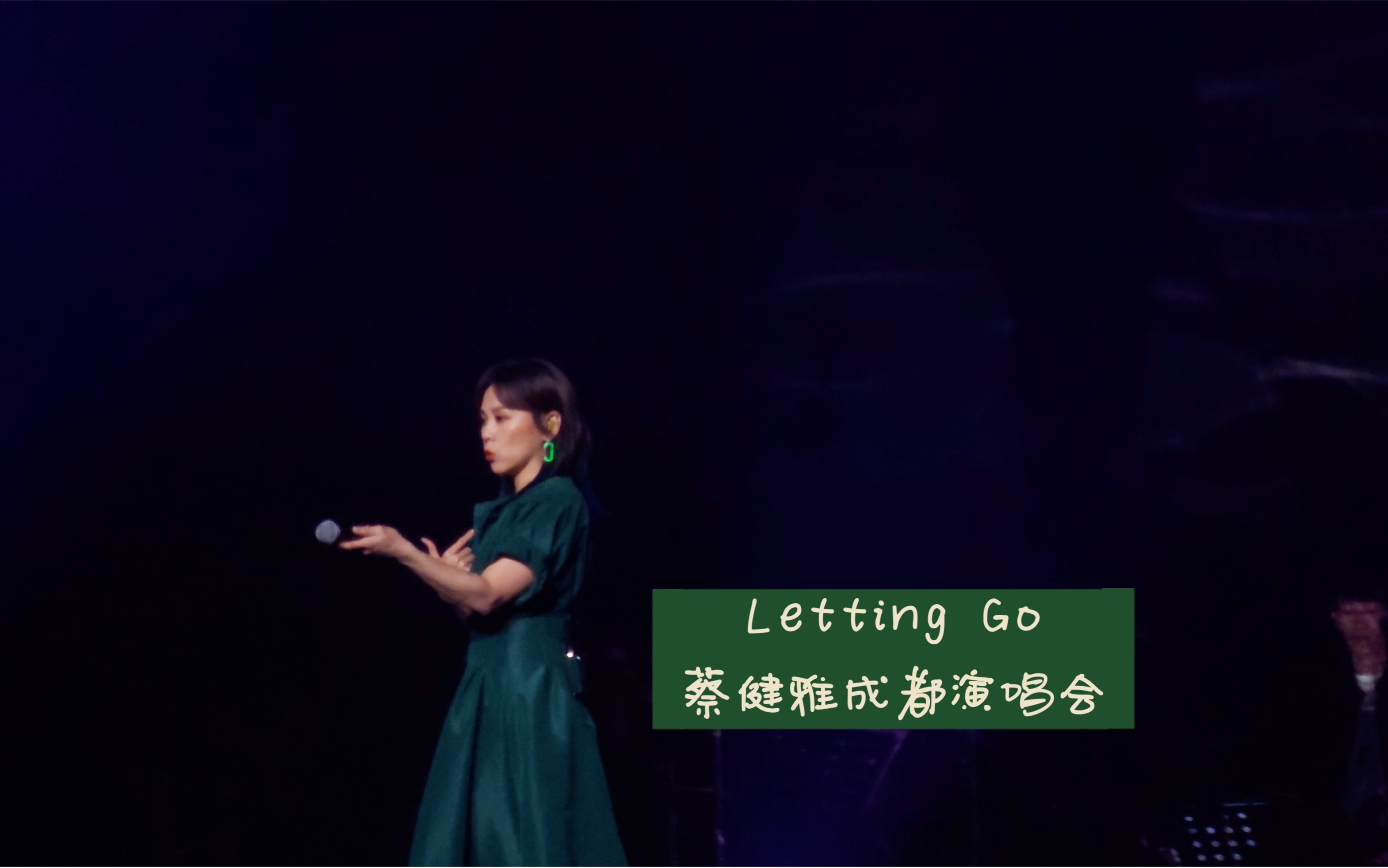 【蔡健雅】tanya成都演唱会大合唱letting go 太给力了 4k