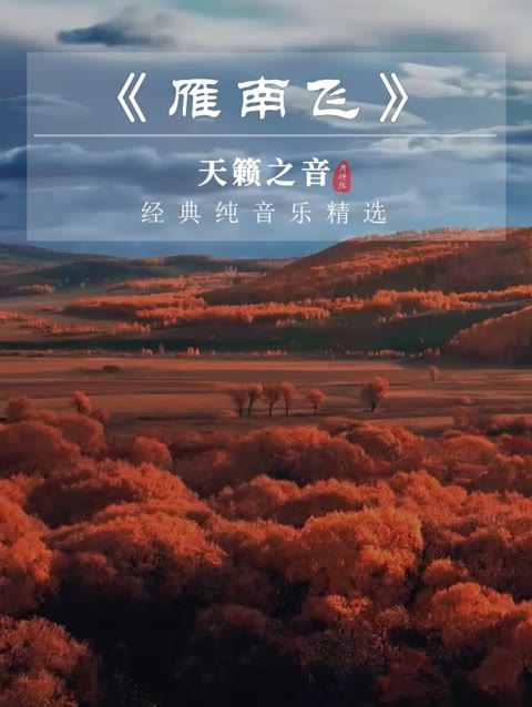 小提琴纯音乐《雁南飞》秋已深,多珍重