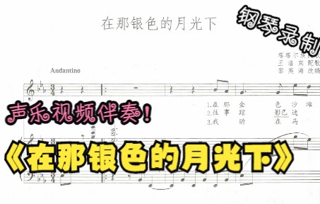 [图]声乐作品视频伴奏-在那银色的月光下（E调）