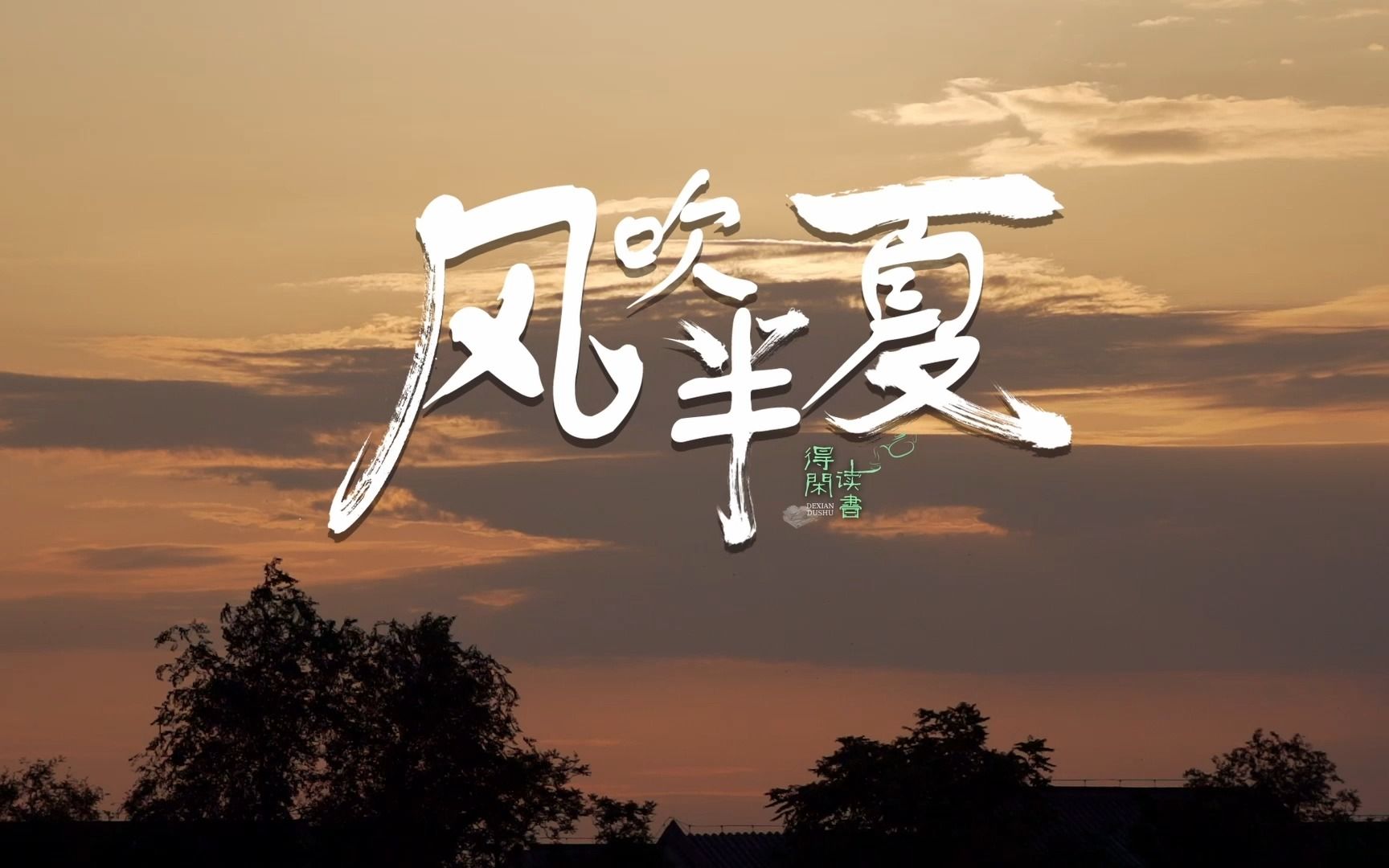 聊城的夏天,最适合追风哔哩哔哩bilibili