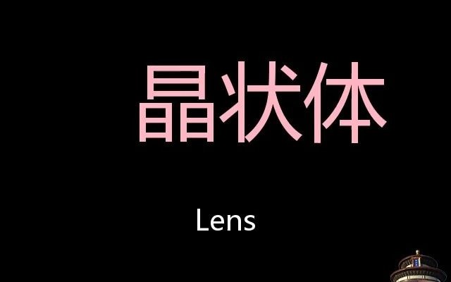 晶状体 Chinese Pronunciation Lens哔哩哔哩bilibili