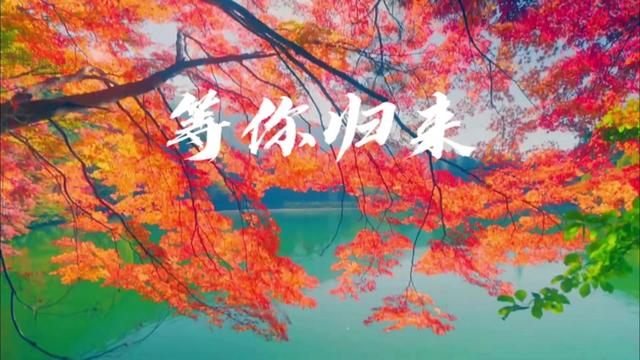 程响《等你归来》| 我就在这里等你, 望尽天涯风雨也不改.