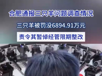 三只羊公司被罚没6894.91万元哔哩哔哩bilibili