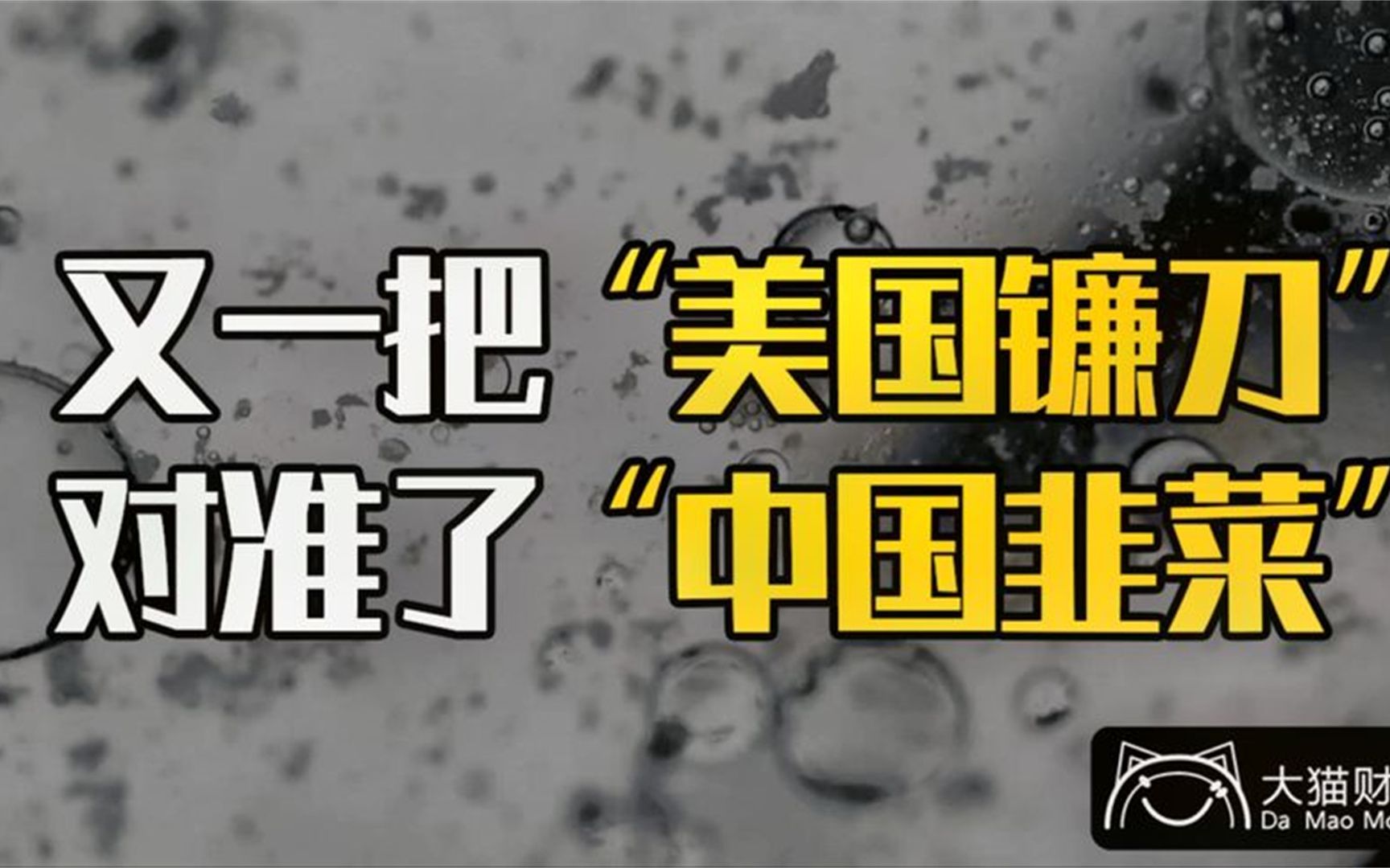 150亿的暴富神话,藏着一把“美国镰刀”哔哩哔哩bilibili