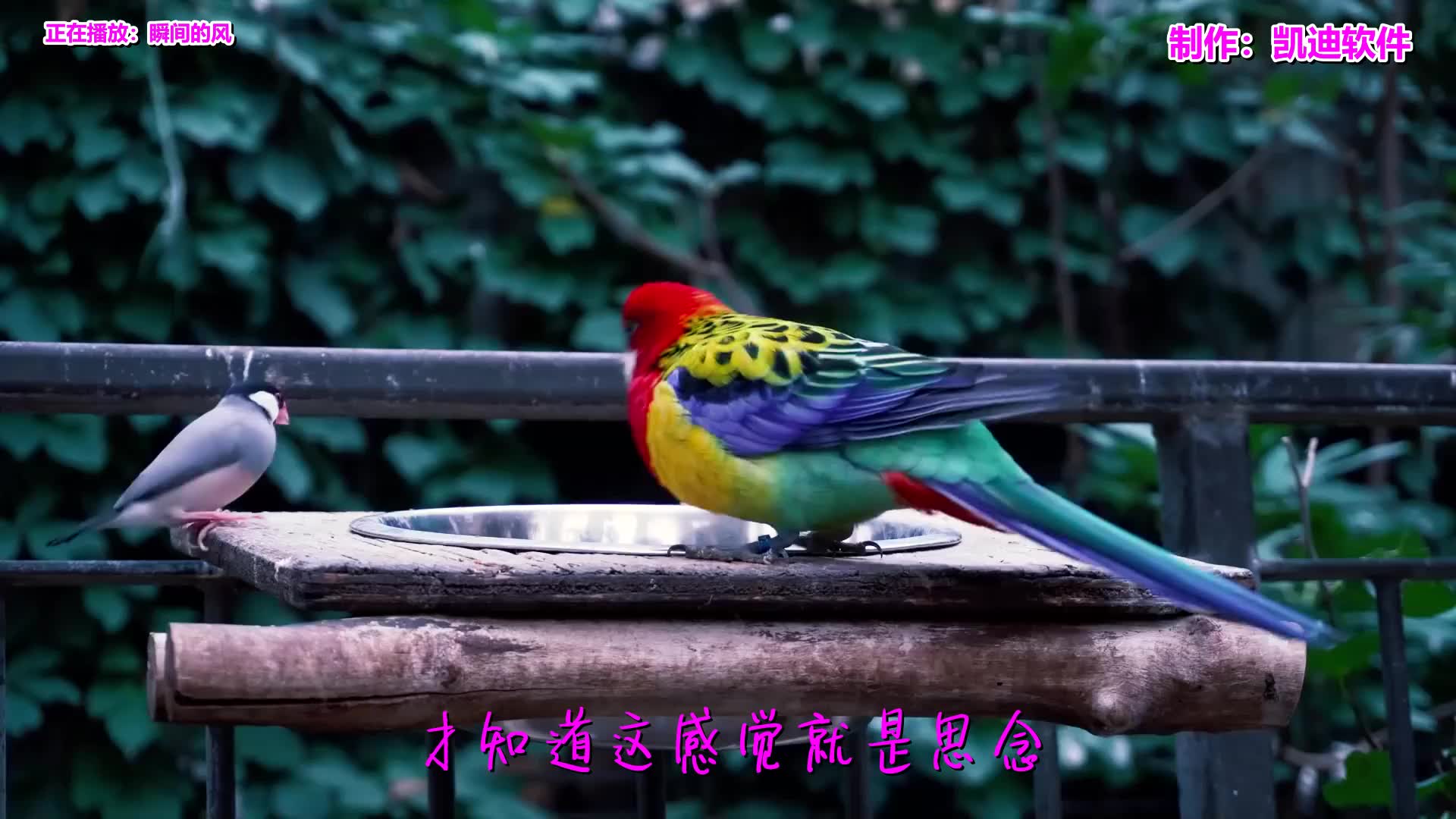 [图]《瞬间的风》欣赏，苹果手机怎么制作照片mv