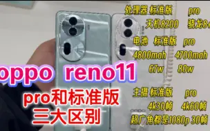 Télécharger la video: opporeno11标准版和11pro有什么区别？参数明明一样，数据却不一样。