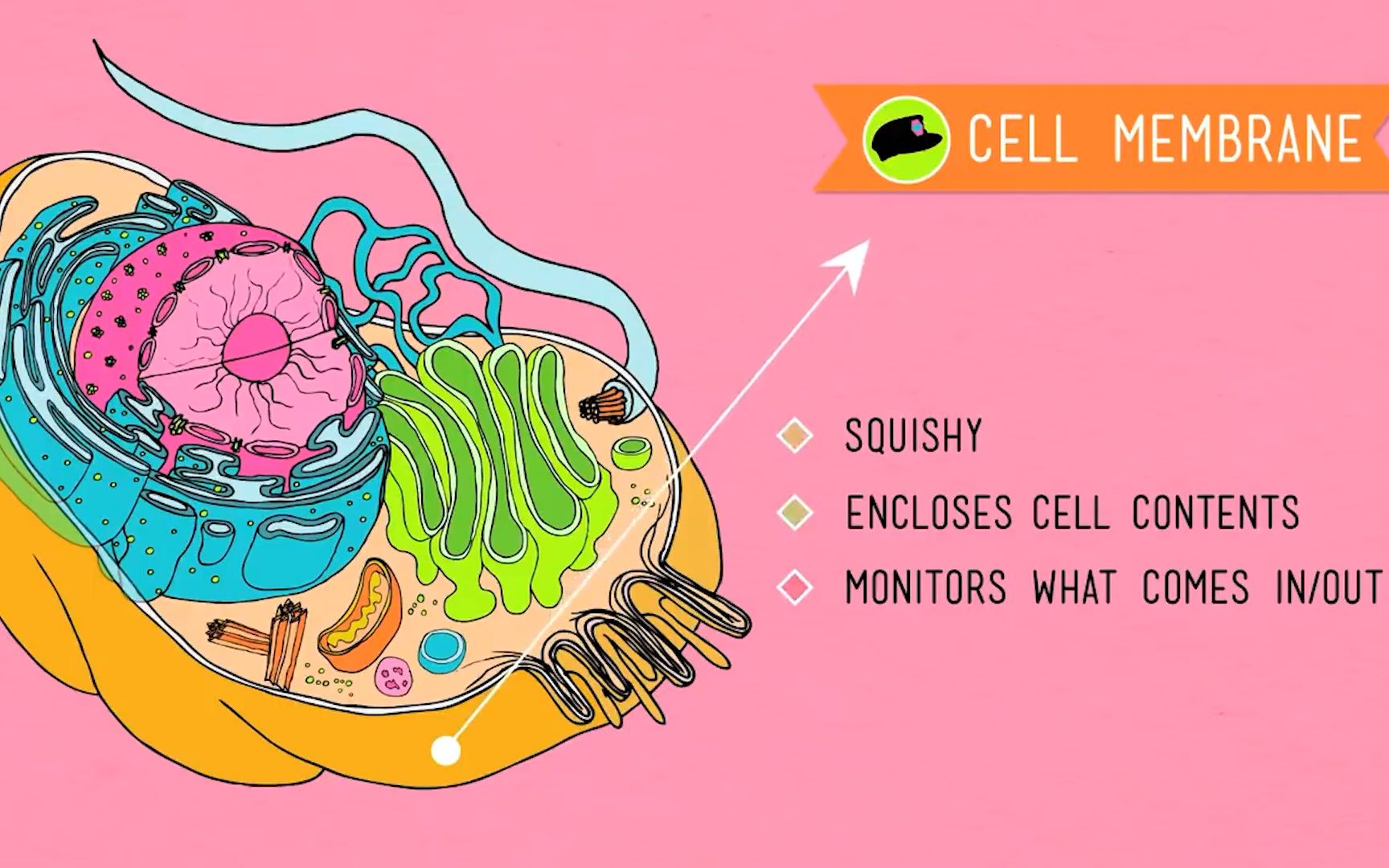 [图]Crash Course 生物学