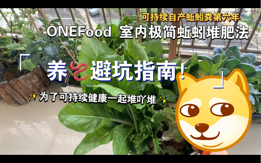 ONEFood 极简室内蚯蚓堆肥 极简三步DPC就Go|生态种菜必备可持续阳台种菜天然好肥 纯干货!花一点时间只为更多人可持续健康!哔哩哔哩bilibili