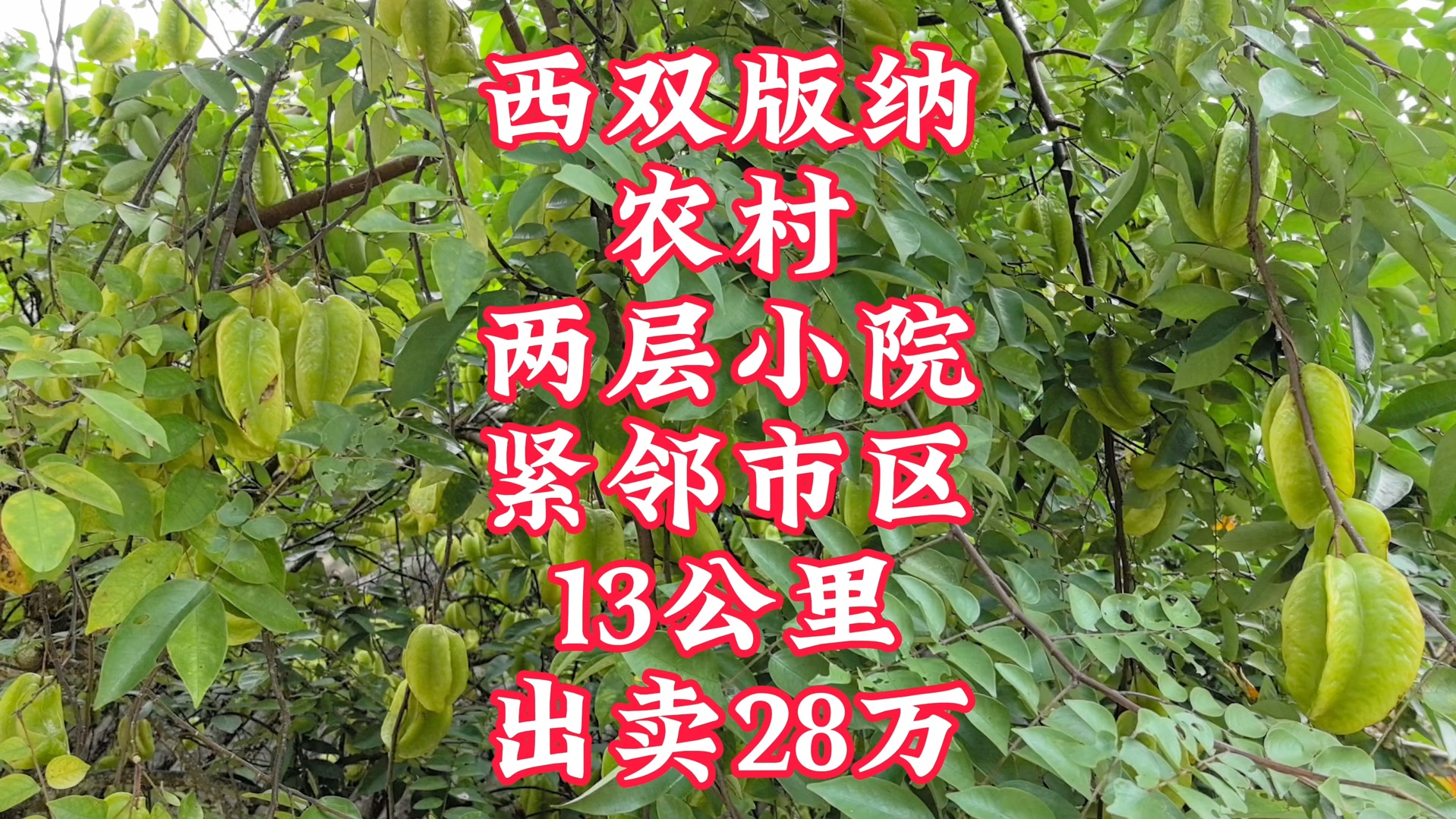 西双版纳农村两层小院紧邻市区13公里出卖28万哔哩哔哩bilibili