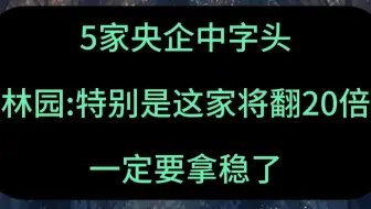 林园：5家央企中字头，一定拿稳了