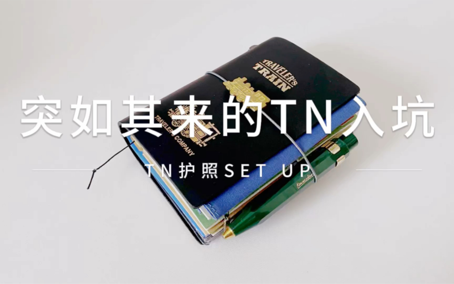 [图]突如其来的TN入坑 ‖ TN护照set up