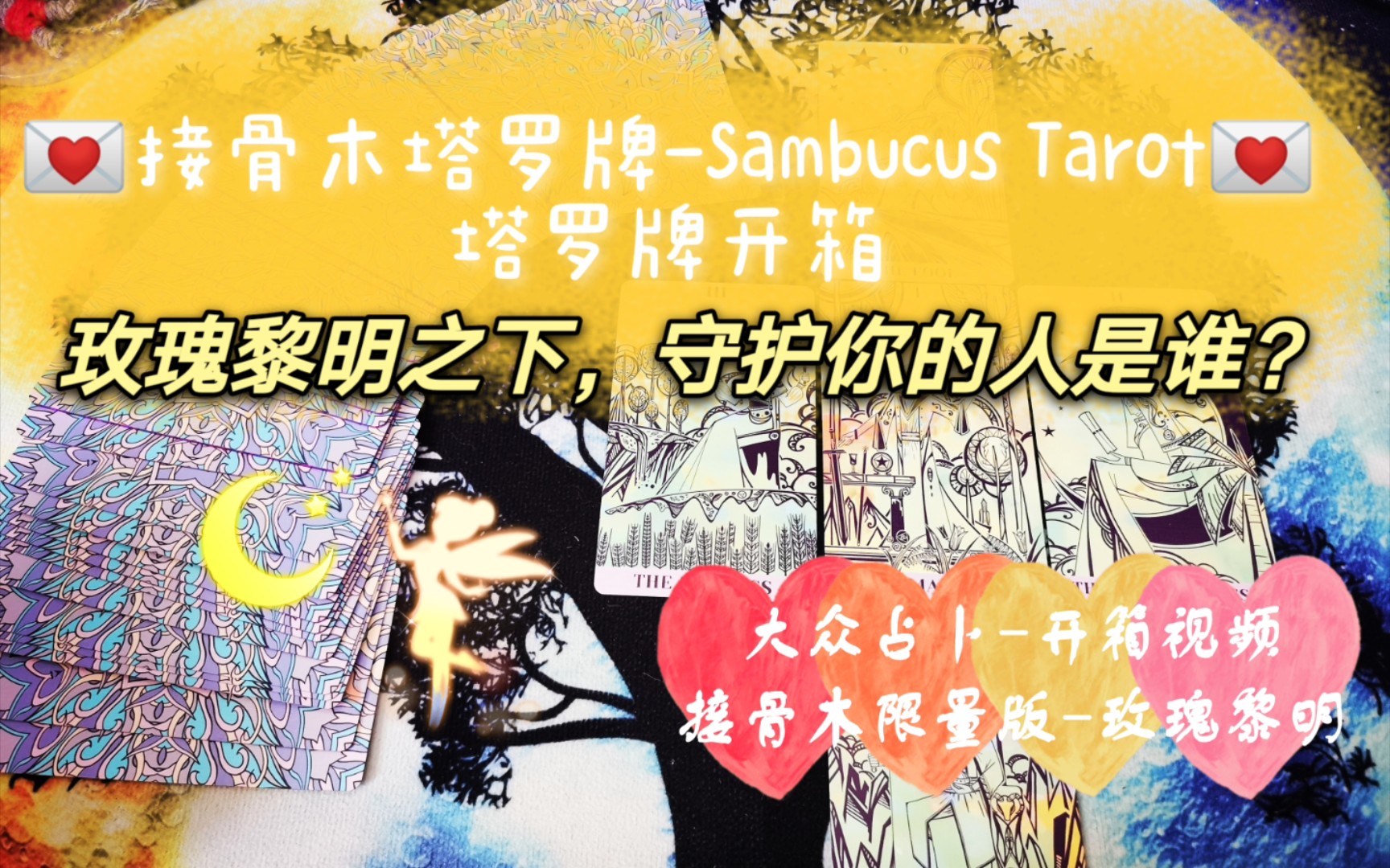 占卜师黑猫-塔罗牌开箱-接骨木塔罗牌-sambucus tarot