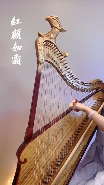 箜篌版《红颜如霜》