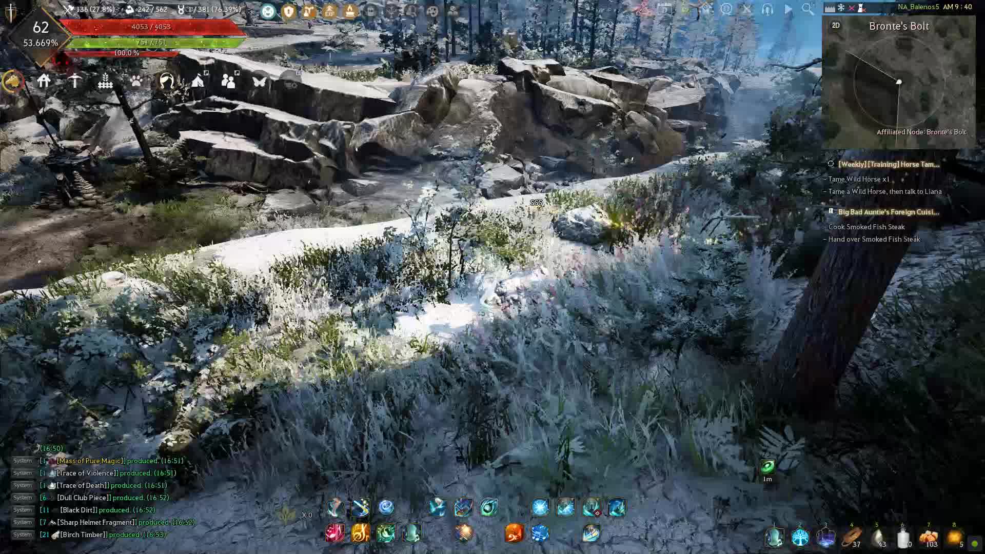 黑色沙漠雪原杉树个人采集点