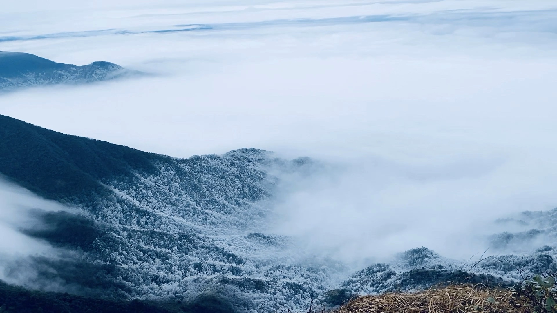华南之巅,冬日里的猫儿山,有云海有雾凇_哔哩哔哩 (゜-゜)つロ 干杯