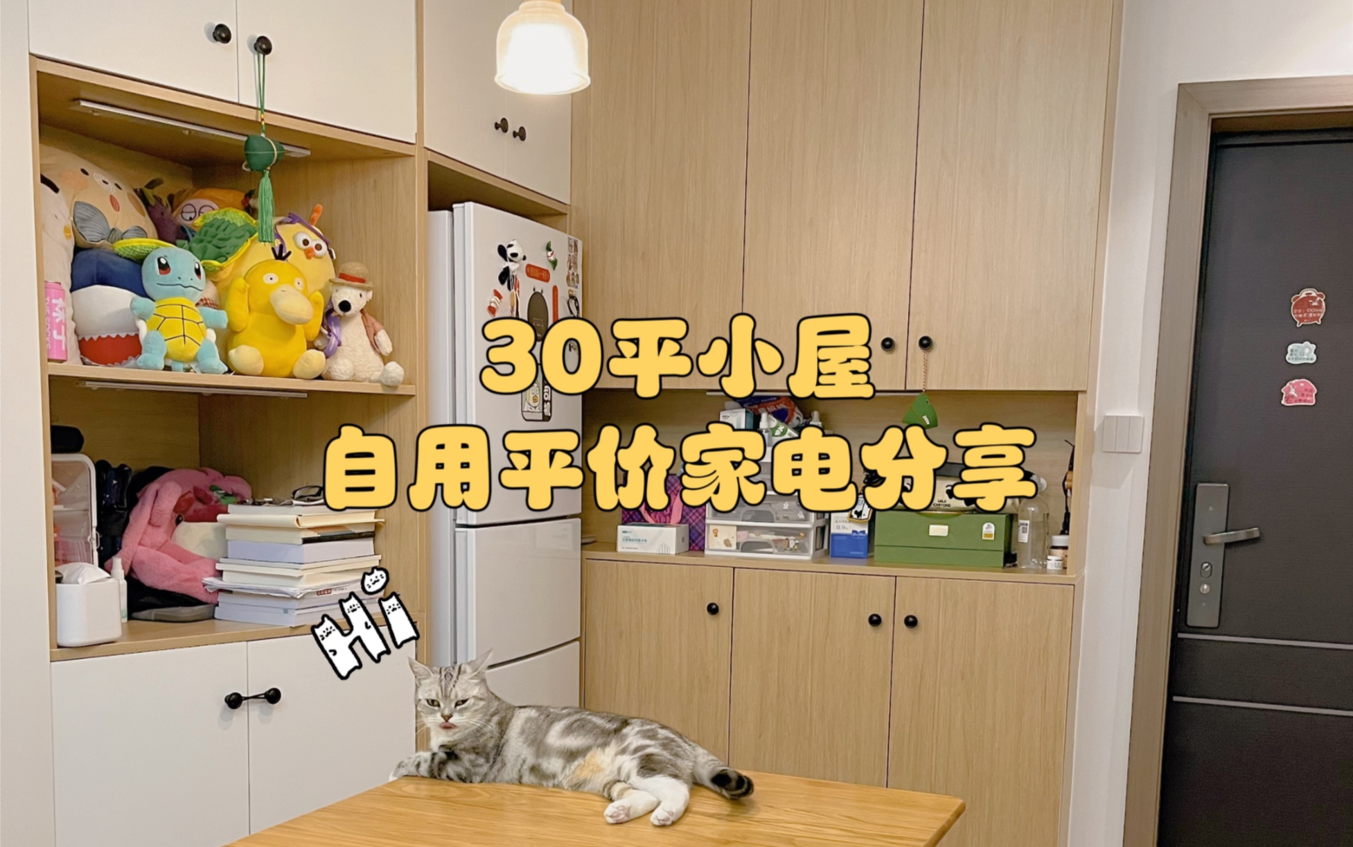 一室一厅 小户型的自用平价家电分享~超实用!哔哩哔哩bilibili