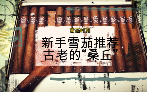 【雪茄时刻】新手雪茄推荐 桑丘.潘沙哔哩哔哩bilibili