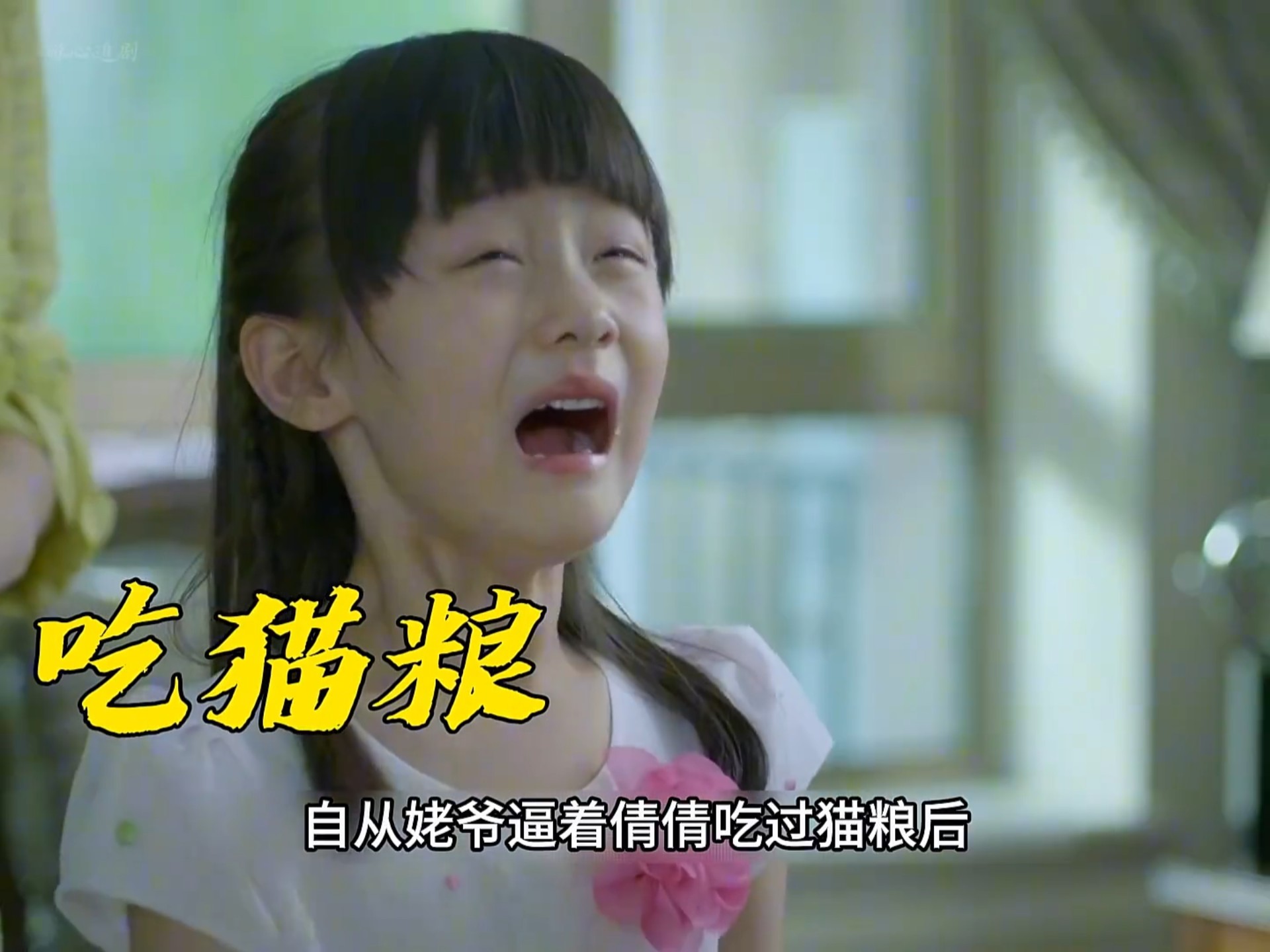 姥爷逼着孙女吃猫粮 #虎妈猫爸