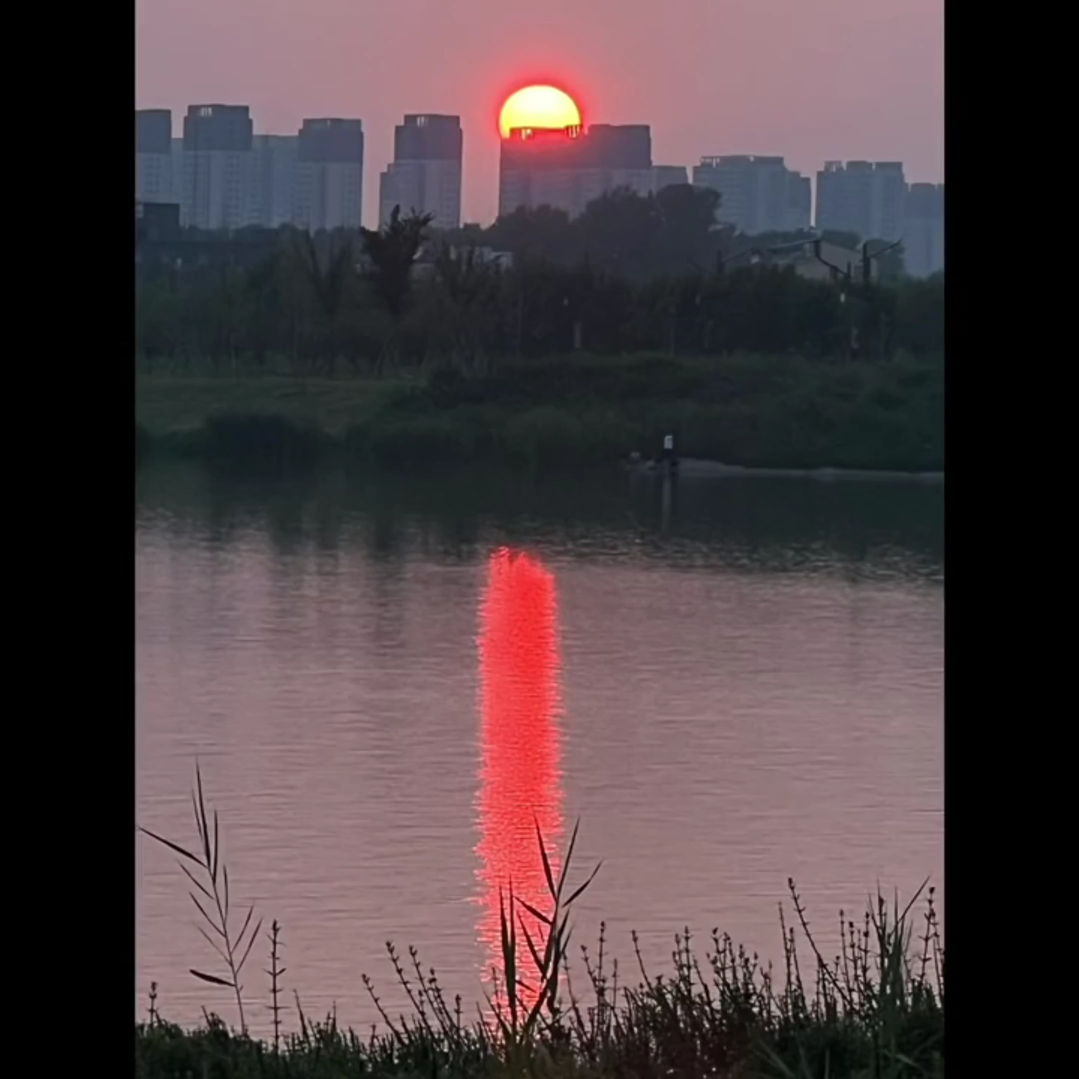 [图]爱就爱了 不怕没爱过