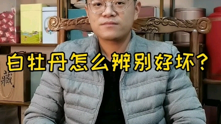 福鼎白茶白牡丹怎么辨别好坏?哔哩哔哩bilibili