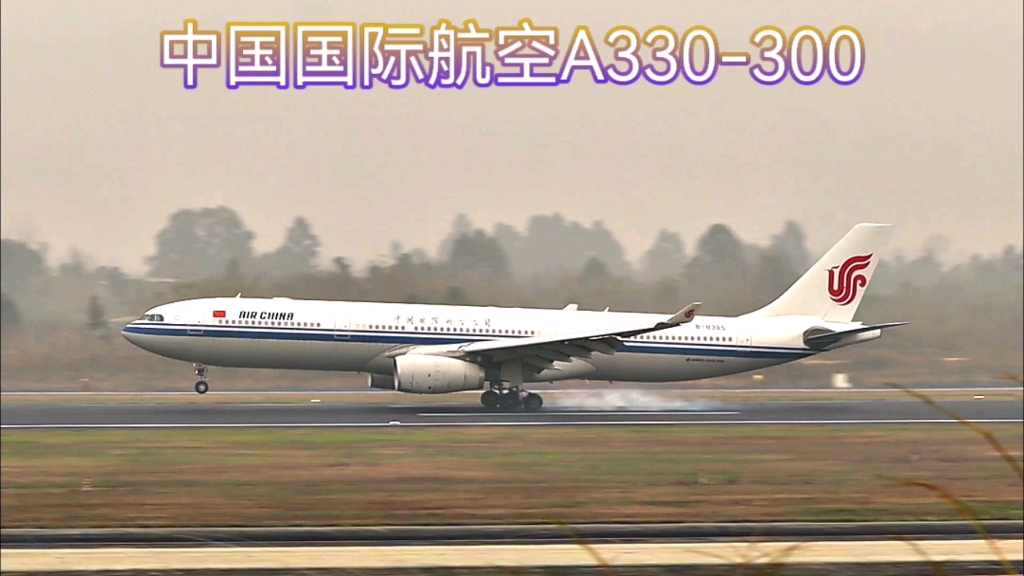 国航空客a330降落图片