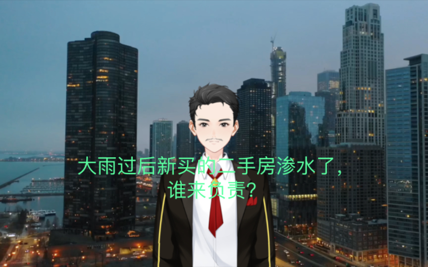 大雨过后新买的二手房渗水了,谁来负责?哔哩哔哩bilibili