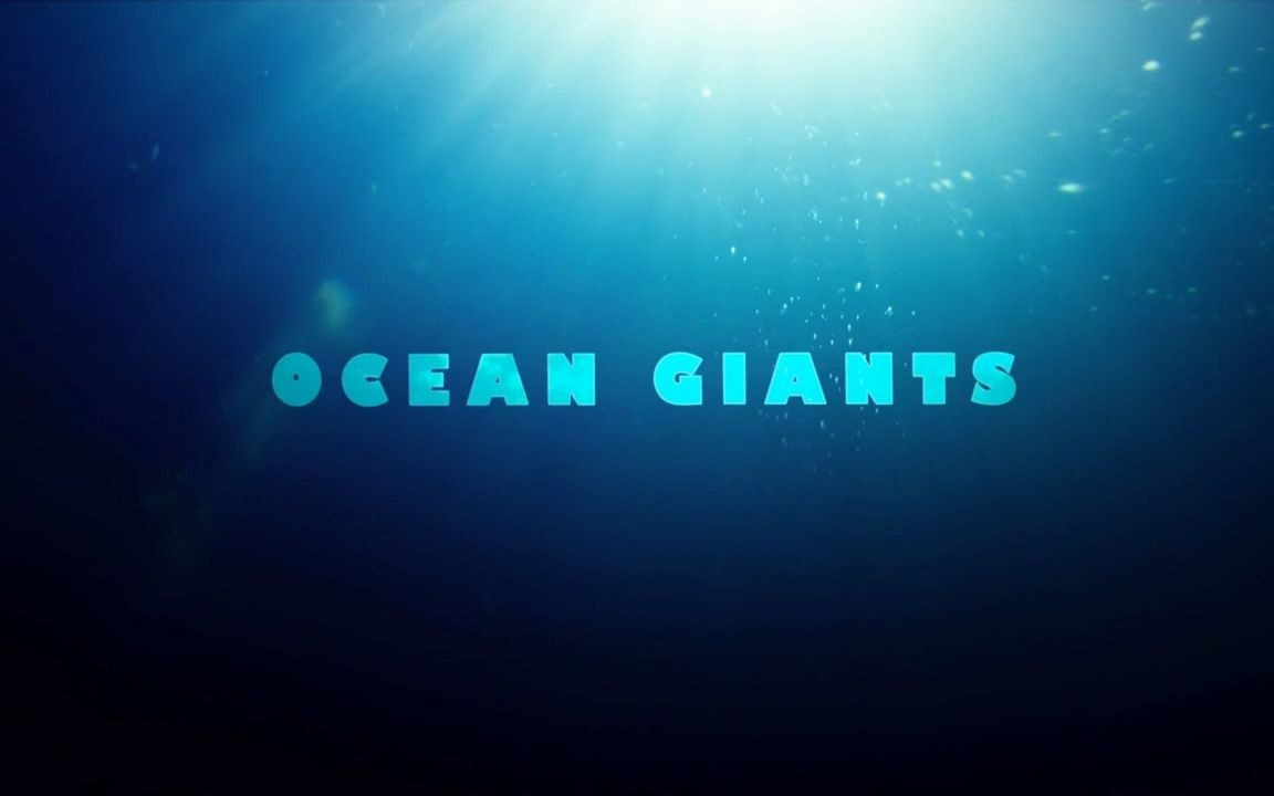 [图]《海洋巨物|Ocean Giants》纪录片 -02- 水下思考者