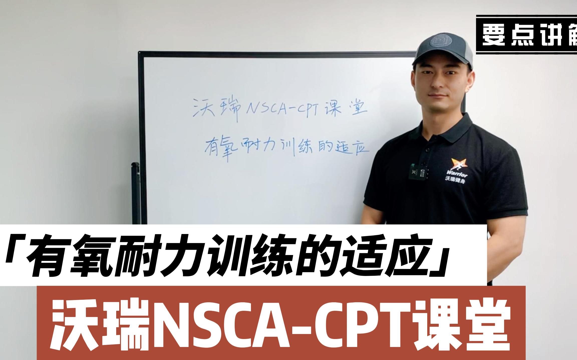 【沃瑞NSCACPT课堂】有氧耐力训练的适应哔哩哔哩bilibili