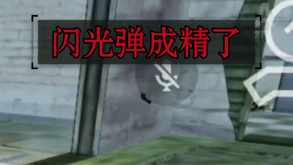 csgom闪光弹成精了