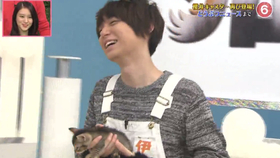 Hey Say Jump 天才志村动物园犬派vs猫派cut 标清生肉 哔哩哔哩 つロ干杯 Bilibili