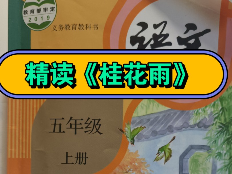 亲子精读课文《桂花雨》