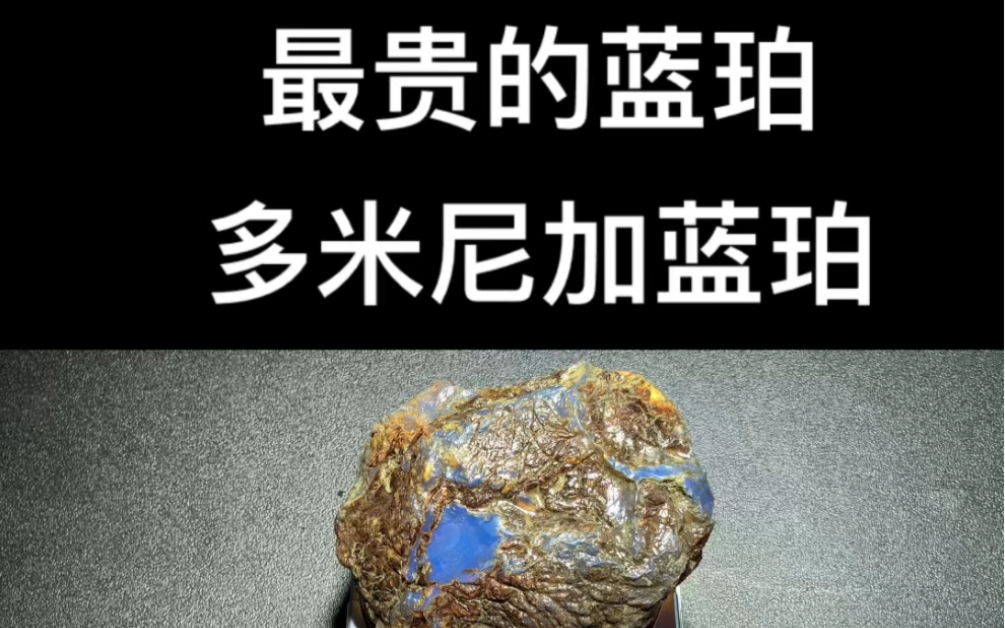 创作灵感 蓝珀产地不同,价值是相差巨大的,关注我,来了解蓝珀产地的