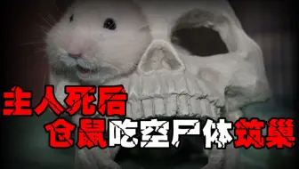 【宠物吃人】你死后，你的宠物大概率会吃了你。真相颠覆你三观
