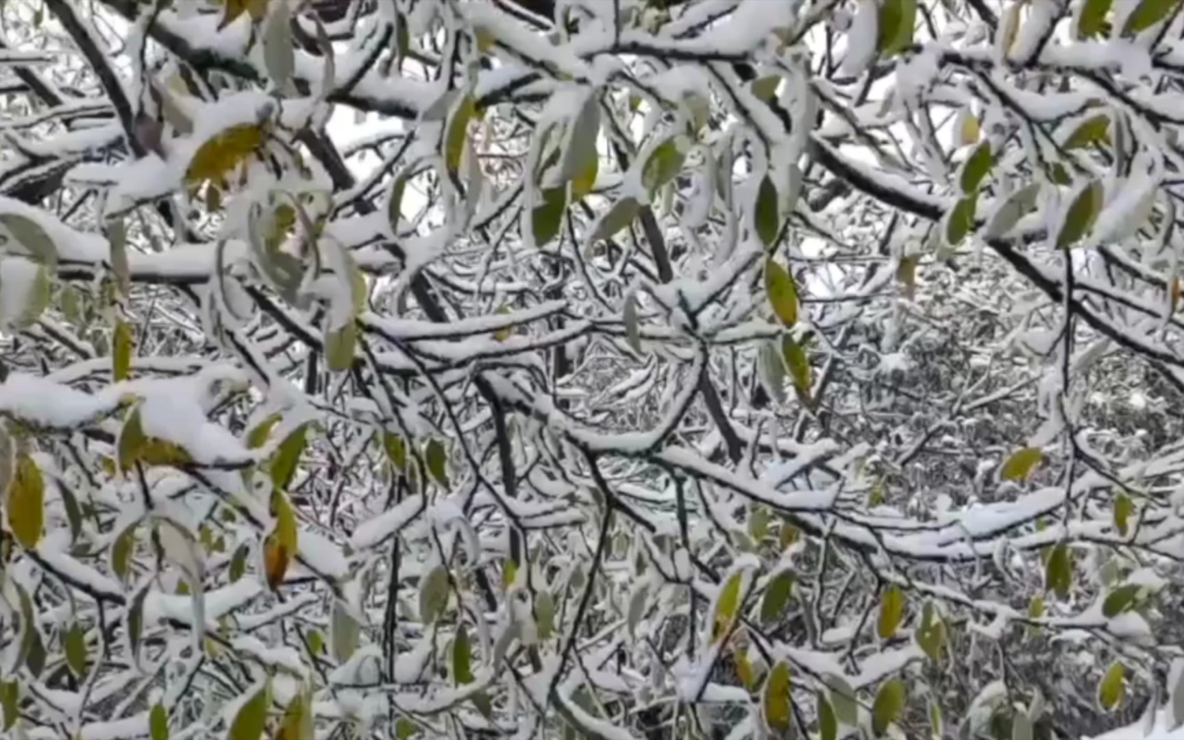 北京下雪了!10月6号,历年最早初雪哔哩哔哩bilibili