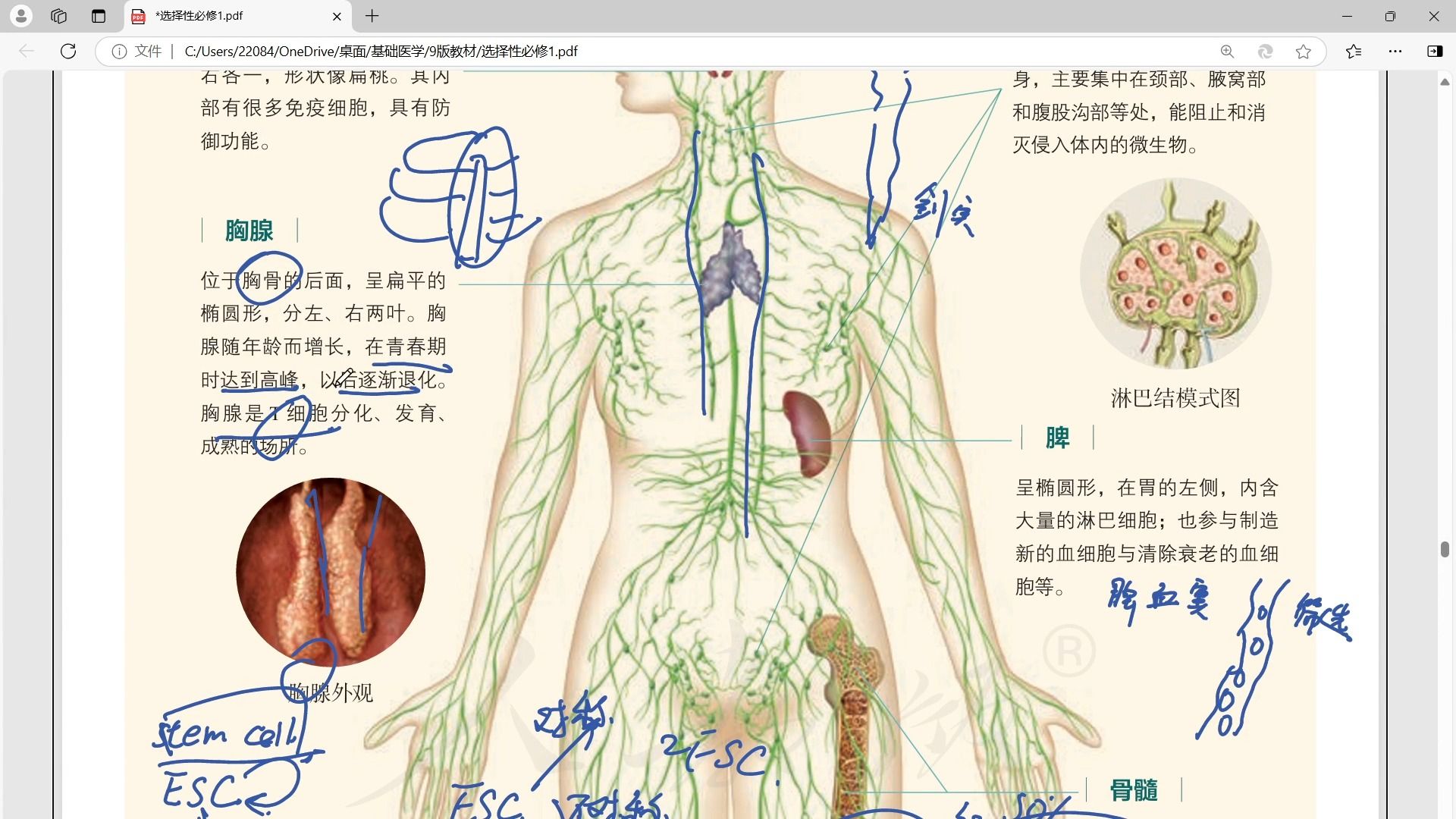 (副产物)关于医学生拓展高中生物选修一并详细过教材这件事——免疫系统第一节哔哩哔哩bilibili