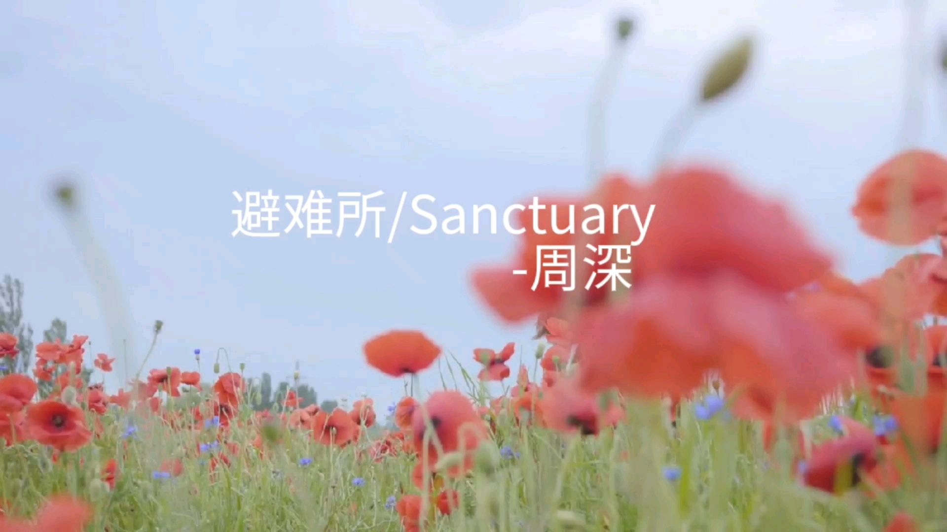 [图]非常治愈的歌 避难所/Sanctuary