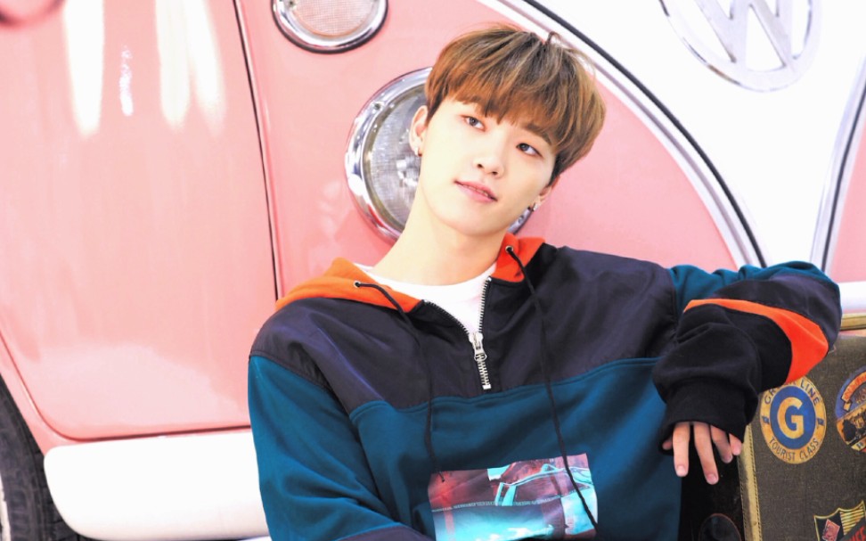 【李灿】seventeen钻石内忙dino的32个心动镜头挑战