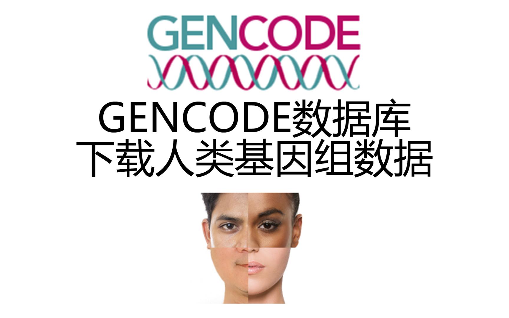 GENCODE数据库获取人类基因组数据哔哩哔哩bilibili