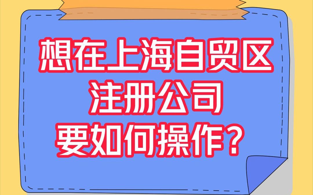 想在上海自贸区注册公司要如何操作?哔哩哔哩bilibili