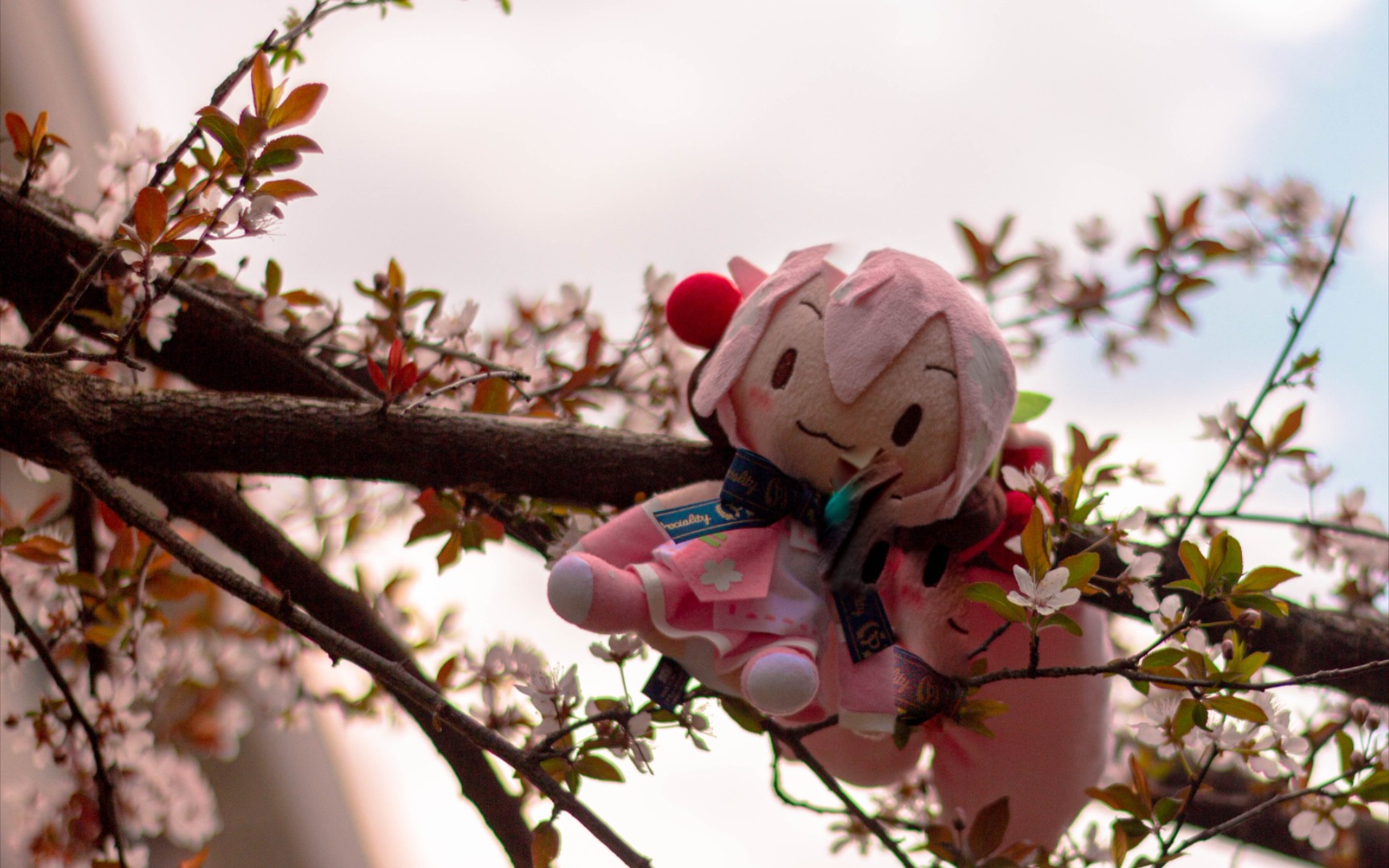 活动作品fufu练习生