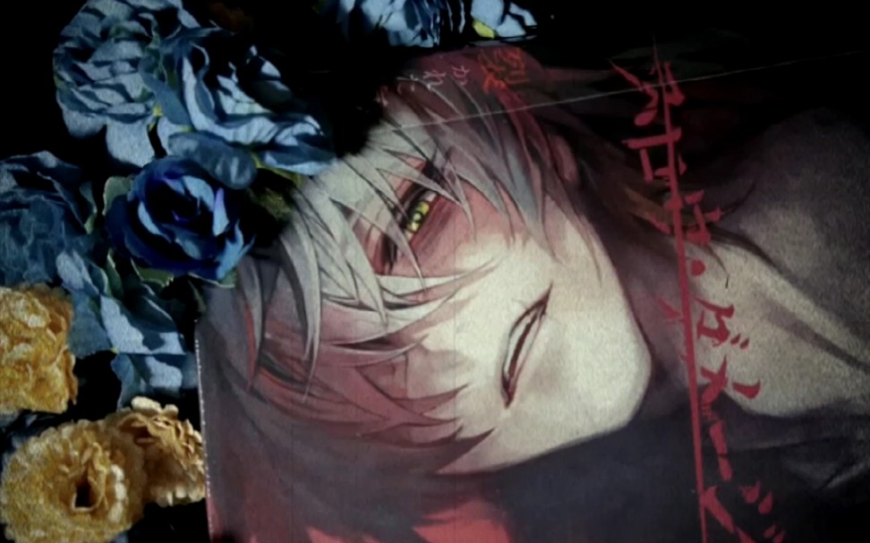 【slowdamage/慢性伤害】初回限定和特典写真_哔哩哔哩_bilibili