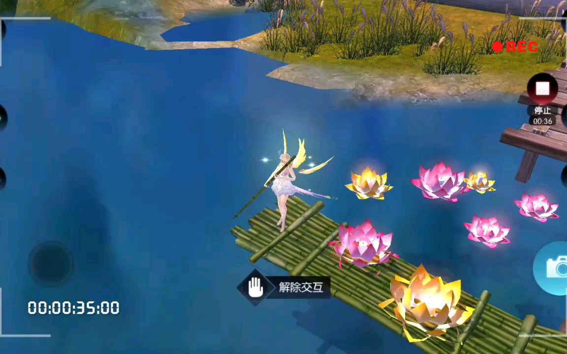 诛仙手游 云梦庭配千灯愿