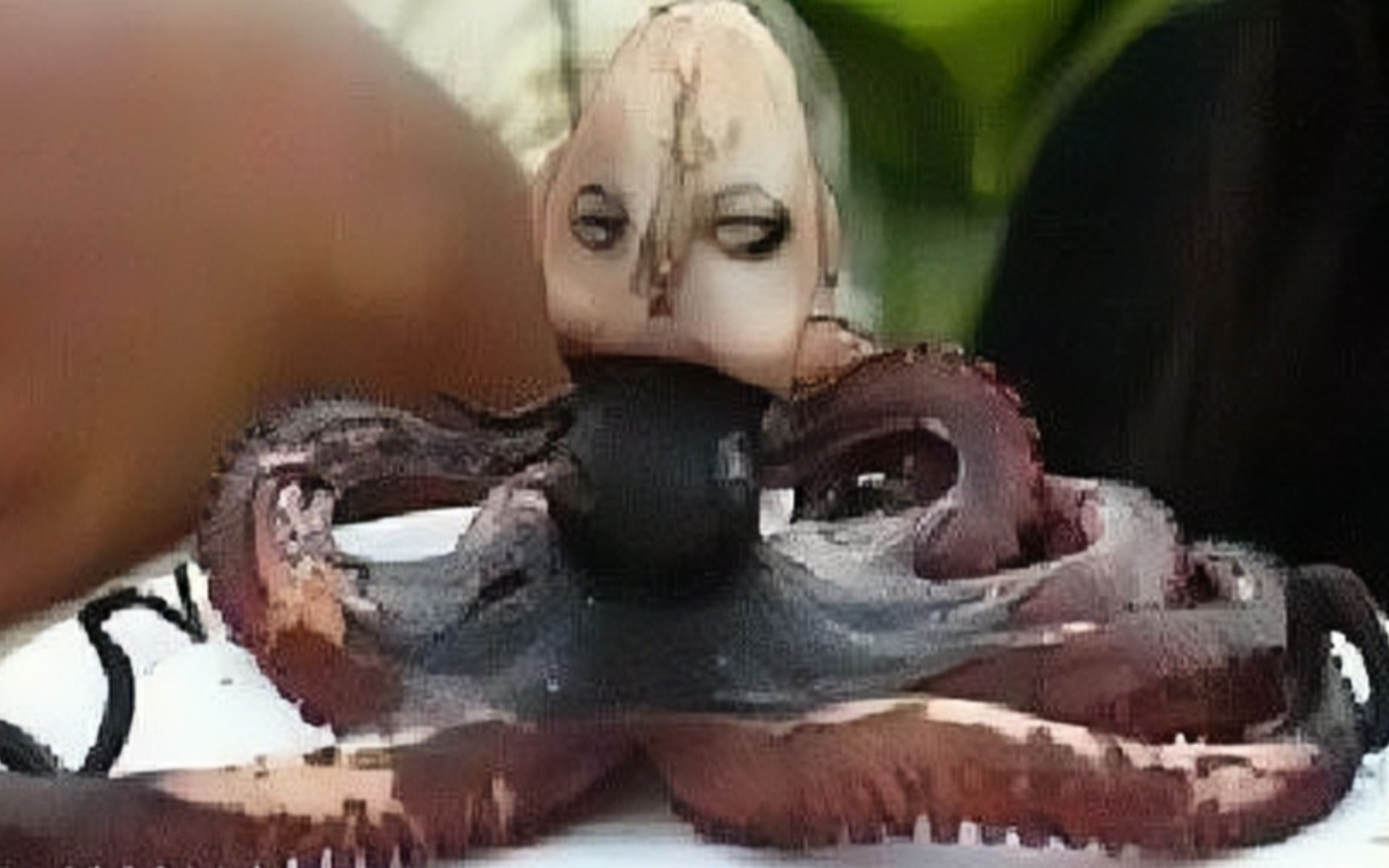 【神秘生物鉴定】渔民捕捞到神秘章鱼人?