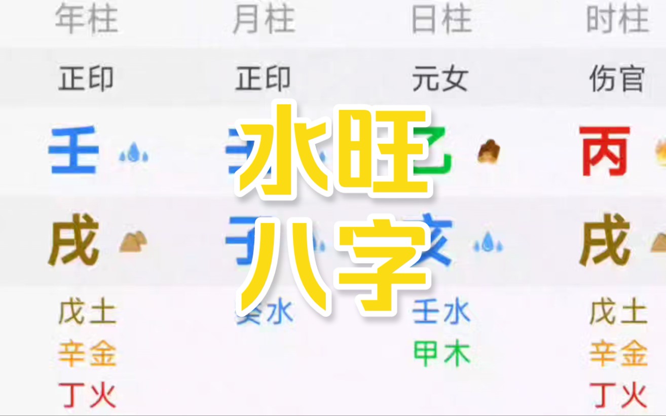 水旺八字性格特点哔哩哔哩bilibili