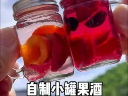 Download Video: 泡一天就能喝的小罐果酒，配上快乐水和夏天真的太配了